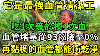 它是最強「血管清潔工」，老人血管堵塞93%降到0%，靠的就是它，堪稱是『神仙血管淨化藥』！每吃一個，血管就被沖洗一遍，血管軟了，血液暢通了，100歲血管像嬰兒般乾淨！ 【養生常談】