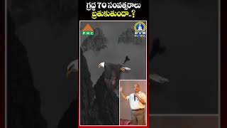 గ్రద్ద 70 ఏళ్ళు బతుకుతుంది#society#viral #think #motivational#trending video#hardwork