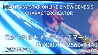 【PSO2NGS】自分で作ったキャラで設定6ベンチマーク　RTX3070　2560×1440 WQHD