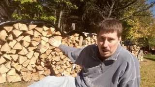 Firewood Seasoning Experiment - Greenhouse vs Open Air Stacking - Part2 - Conclusion