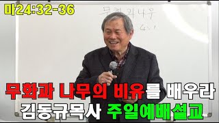 무화과 나무의 비유를 배우라 (마24:32-36) [샛별김동규목사설교]