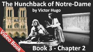 Book 03 - Chapter 2 - The Hunchback of Notre Dame by Victor Hugo - A Bird's-eye View of Paris