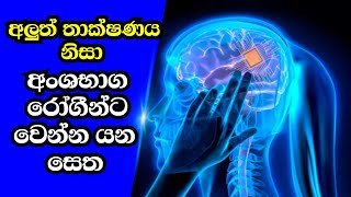 අලුත් තාක්ෂණය නිසා අංශභාග රෝගීන්ට වෙන්න යන සෙත - Elon musk first human trial - EP 04 #sarisara