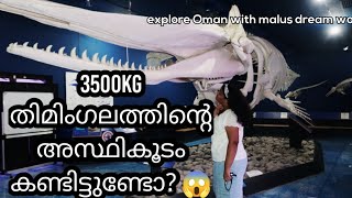 ഇത് നിങ്ങൾ കണ്ടിട്ടുണ്ടോ/3,500 കിലോ ഭാരം വരുന്ന തിമിംഗല ത്തിന്റെ അസ്ഥികൂടം/#whale Hall Museum/Oman