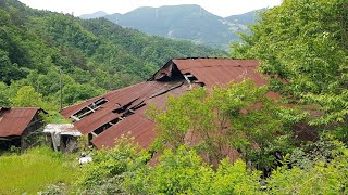 한국에 아직도 이런데 있었다!두시간 터덜 걸어서 토끼길 따라 반나절 오르니 우와!