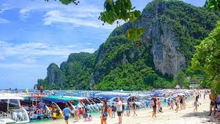 phuket Cruise Trip | phi phi island | Tiger Park