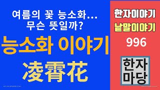 한자이야기 #996 능소화 이야기... 능소화의 뜻과 전설