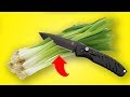 ASMR | Green Onions Cutting Sound, Crunching, Slicing (no talking)