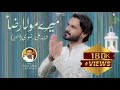 MERAY MOLA RAZA | SYED SHAHID ALI RIZVI PANJETANI | MANQABAT