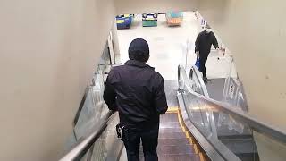 マルエツ朝霞店 東芝エスカレーター 下り Asaka City TOSHIBA Escalator