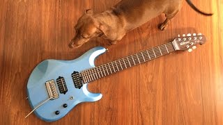 UNBIASED GEAR REVIEW - Ernie Ball Music Man JP7 with Rosewood Neck 7-string guitar