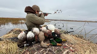 Mixed Bag Duck Hunting a Secret Lake!