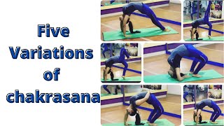 Variations of chakrasana | Extreme back bending | yoga for flexibility | slim body|