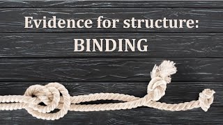 Evidence for Structure: Binding