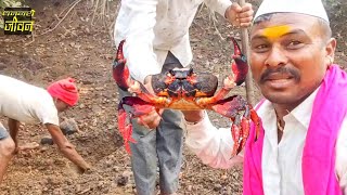 चिंबोरी / खेकडा पकडताना आली धम्माल मज्जा | Crab Catching | khekada