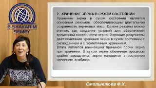 Режимы и способы хранения зерна и продуктов его переработки   Лекция 2