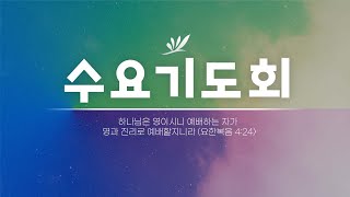 2024년 12월 11일 수요기도회 실황