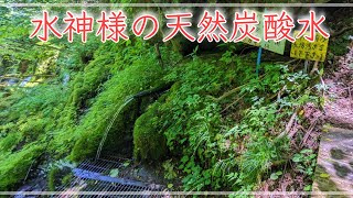 [Cross Cub] I went to Kokonoe Town, Oita Prefecture to look for natural carbonated spring water