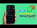 how to use auto reply messages on Whatsapp business 