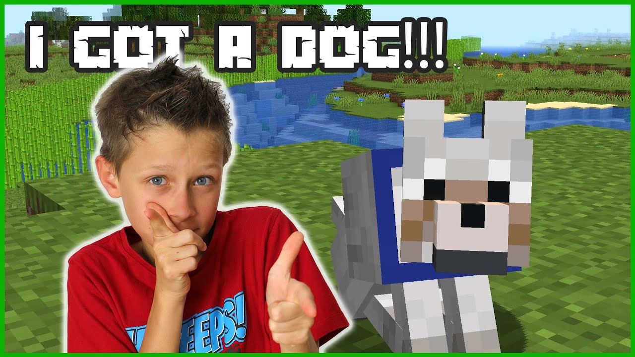 I Got A Dog Youtube