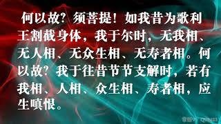 14分钟快速诵读《金刚经》菩提常悟