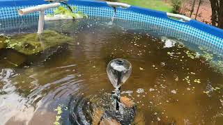 Amazing solar pond filter from Amazon it works !