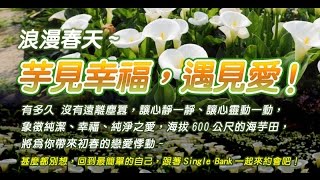 單身銀行@浪漫春天~芋見幸福，遇見愛! - 20160327