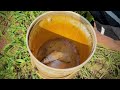 best fishing video 🎣🐟 fishing with hook ~ catching pote fish hunting by hook ~ village hook fishing