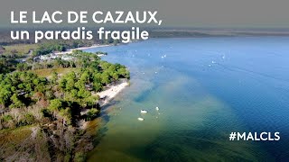 Le lac de Cazaux, un paradis fragile