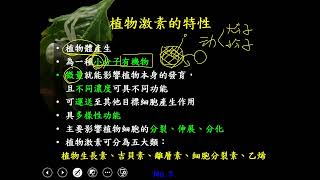 11002選修生物二ch4 3 01植物的協調作用與植物激素的特性(一恭)