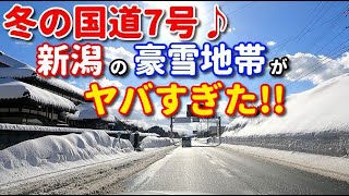 冬の国道7号線♪　新潟の豪雪地帯がヤバすぎた！！　車載動画　ドライブ　ドラレコ　雪道