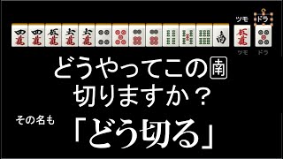 あなただったらこの南を「どうやって」切りますか？　どう切る第一問目