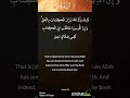 Al-Baqarah - Verse 175 to 176 - Quran Recitation for Mobile #shorts #Quran #Islam