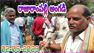 Animals Market In Rajarampally/Rajarampally Pashula Angadi/Angadi/Santha/Pashuvula angadi/market/.