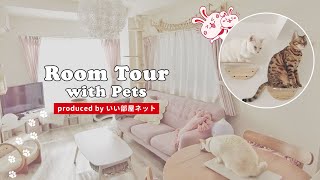 【ルームツアー】天井まであるキャットツリー｜2LDK｜2匹のねこちゃんが楽しめるお部屋（いい部屋ペット No.001）