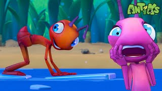 Thin Ice Thrills with Joey and Boo 🧊  Antiks | Animals And Creatures | Kids Cartoon In Hindi हिन्दी