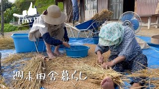 まさかの「全力手作業」で脱穀／初めての米作り／91歳の義母