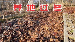 冬天养好地，用草和叶子就够了，改良土壤，废物再利用