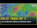 Diễn biến mới nhất bão số 7: Cách quần đảo Hoàng Sa khoảng 250km về phía Bắc Đông Bắc, mạnh cấp 12