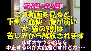 犬の下痢　猫の下痢②　コロンボ獣医が解説します