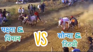 खूटार्ली चा सोन्या \u0026 टिटवी VS विमान \u0026 पक्ष्या✨💯🔥💫#sharyat #trending #viralvideo