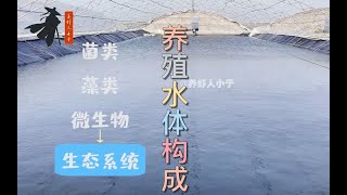 南美白对虾养殖：养殖水体的构成及原理