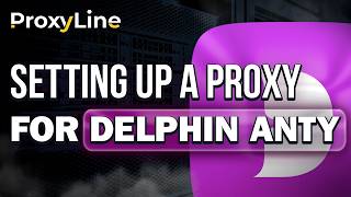 How to Setup a Proxy in Dolphin Anty | ProxyLine