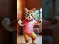 plz subscribe❣️😍🐾cute kitten 146 cat lovecets cats catvideos kittens catlover princesscat kitten