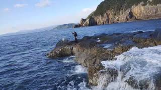 三重県二木島テラシマ   グレート・ワーポン　入れ食い