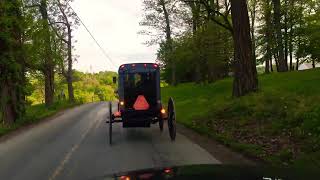 Pennsylvania Amish driving buggy in Holtwood