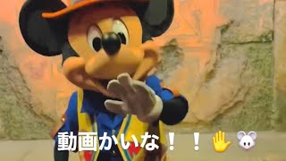 動画かいな！！✋🐭つっこみされた😆💕　#トレイルミッキー　#ディズニーシー #shorts #tokyodisneyresort #tokyodisneysea #グリーティング