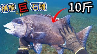 北部漁獵🐟竟遇阿公級大石雕！東北角生態豐富🌟 釣魚 自潛 漁獵 ☑️spearfishing