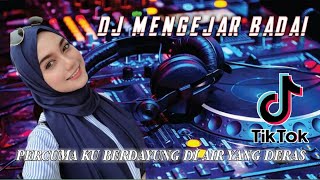 DJ MENGEJAR BADAI | PERCUMA KU BERDAYUNG DI AIR YANG DERAS VIRAL TIKTOK FULL BASS