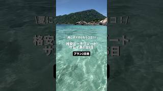 【保存版】タイのリゾート！サムイ島3泊5日のプラン全公開🥰  #サムイ旅行 #samui #samui #samuitrip  #タイ #タイ旅行 #タイ観光 #海外旅行 #サムイ島 #ナンユアン島